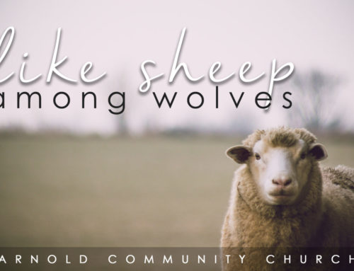 DEVO: Like Sheep Among Wolves